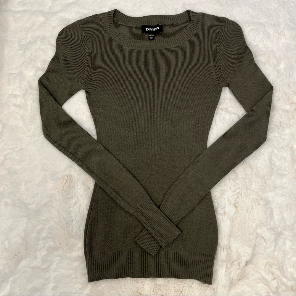 Express Fitted Sweater